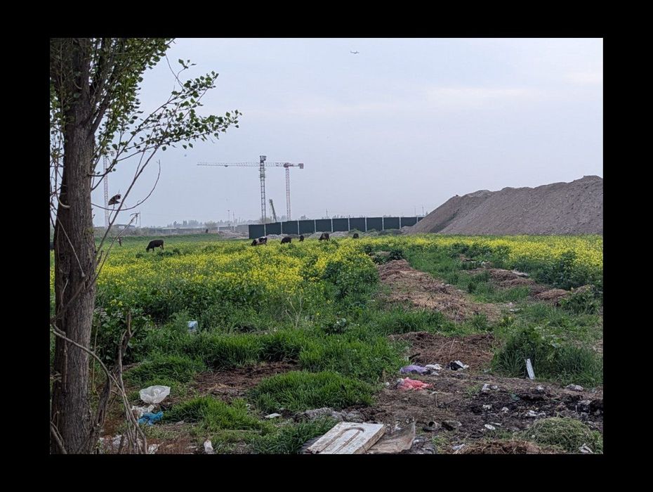 Янги Тошкент Срочно продаю свой участок