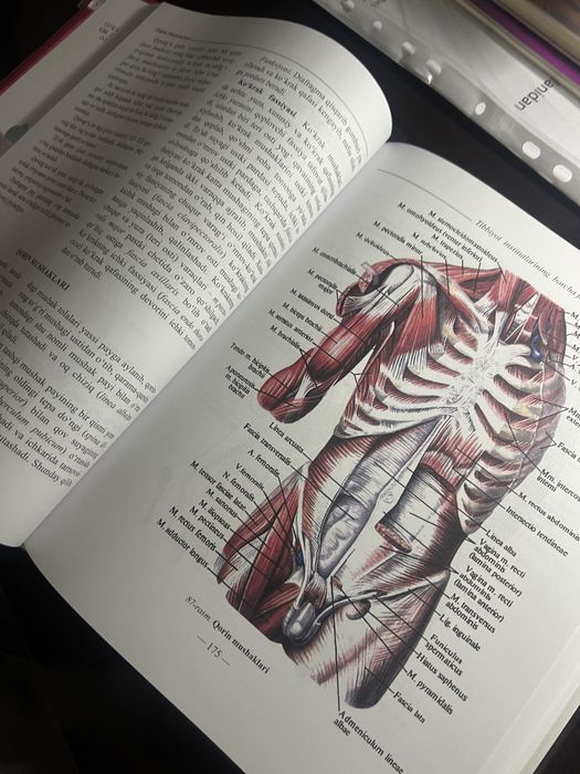 Odam anatomiyasi kitobi