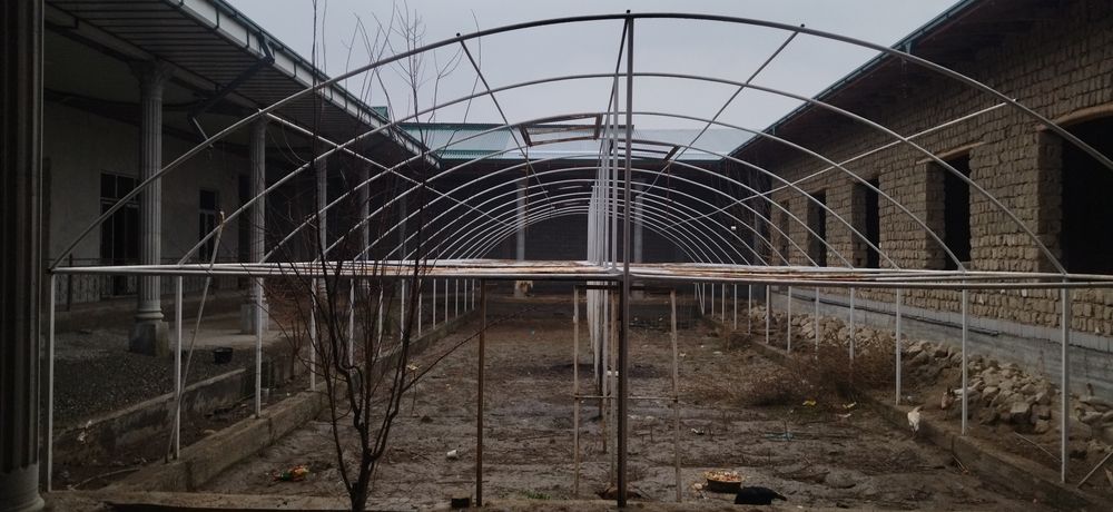 Хишрав:12-соток.Срочно продаётя дом.