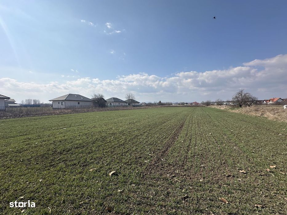 Teren intravilan 20 ari | Rădăuți | Front stradal 19.49 m