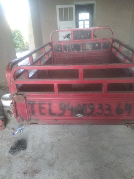 Motosekil bodo yili 2022