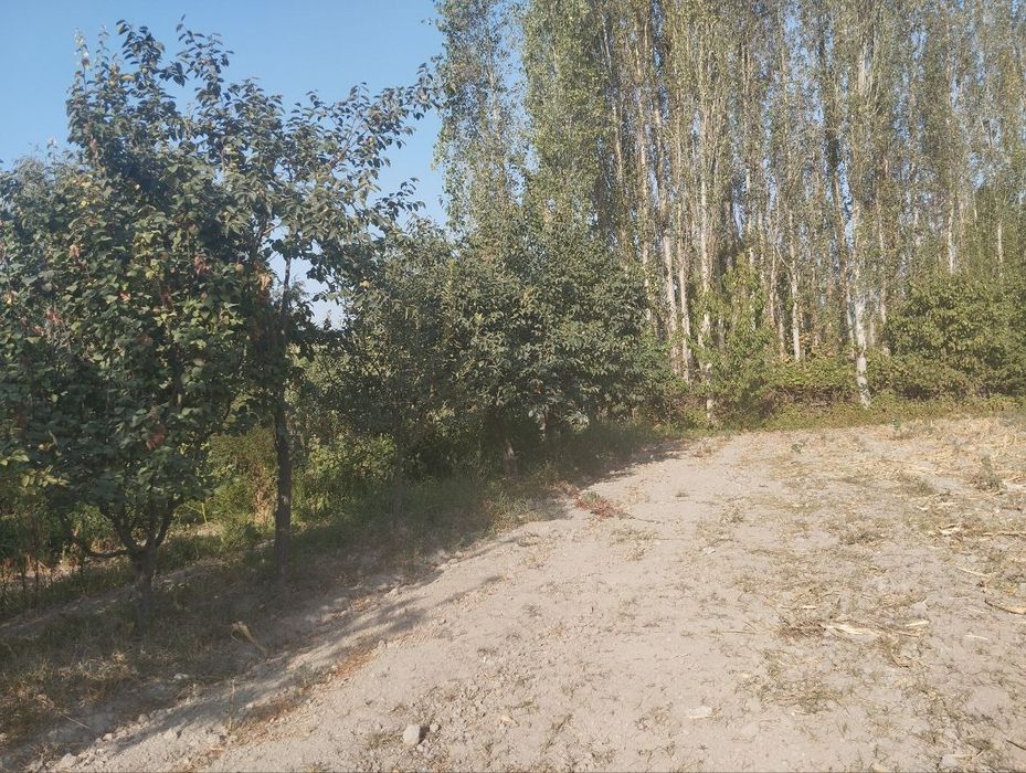 Yer suv gaz svet  kanalizatsiya hammasi bor