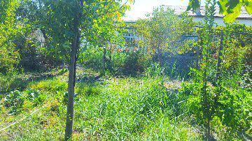 Продаëтся дом в центре Канимехского района