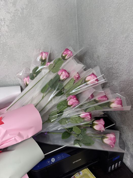 Мыльное цветы, сабын гүлдер