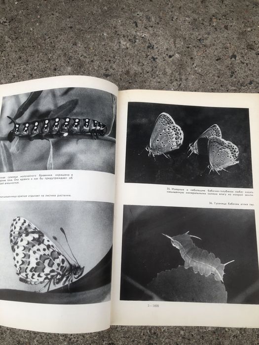 Книги    СССР  Сто картин