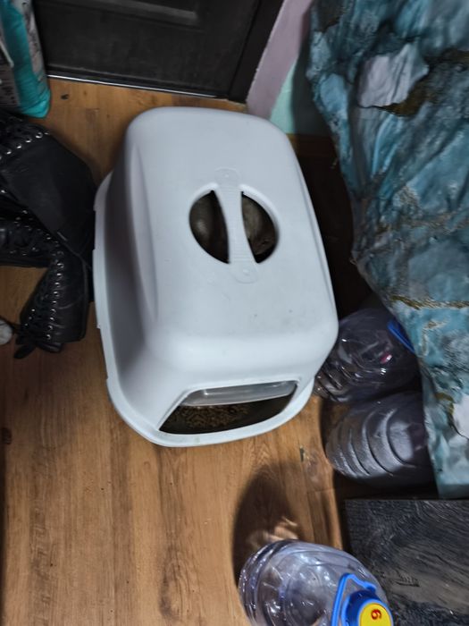 Продам лоток большой