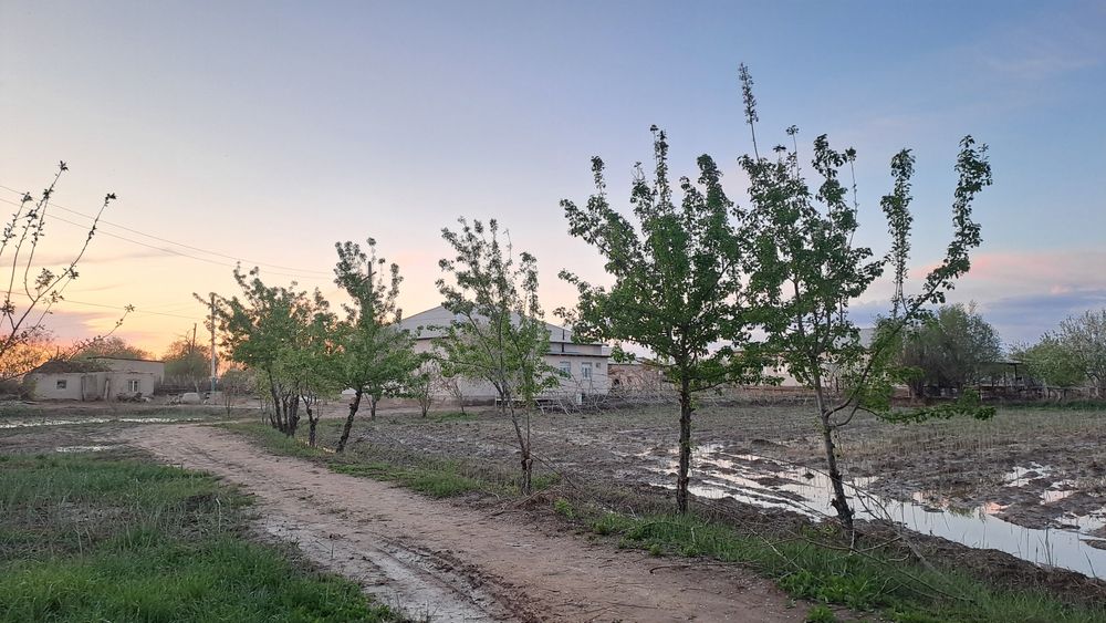 Жер жай сатылады