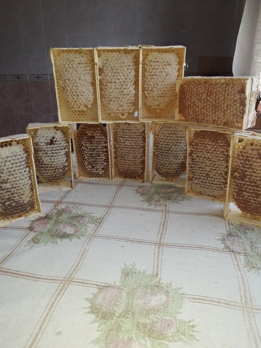 Продам мёд разнотравье