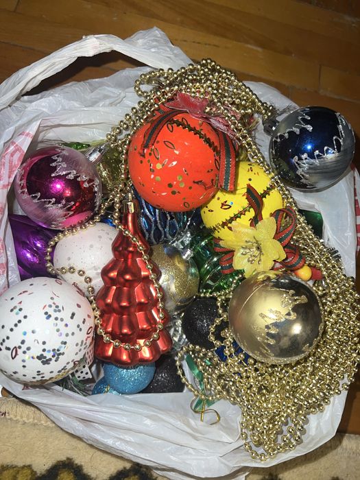 ёлка серебрыстый