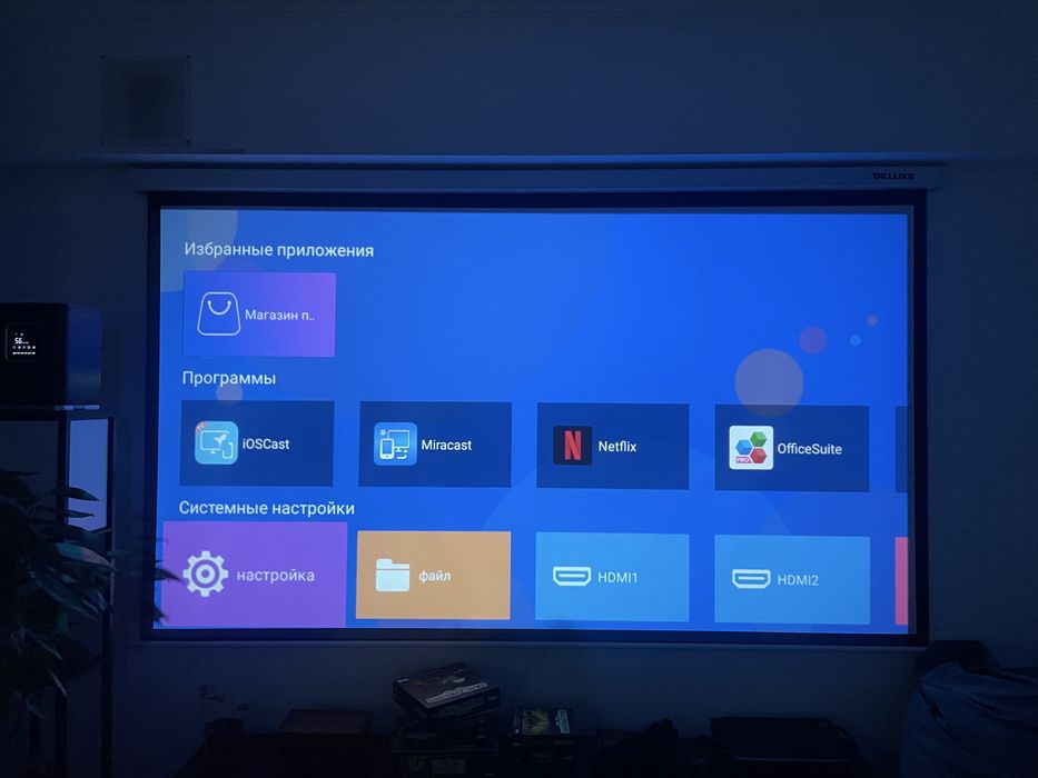 Проекционный экран DELUXE DLS-M265x149W (~ 119 дюймов)