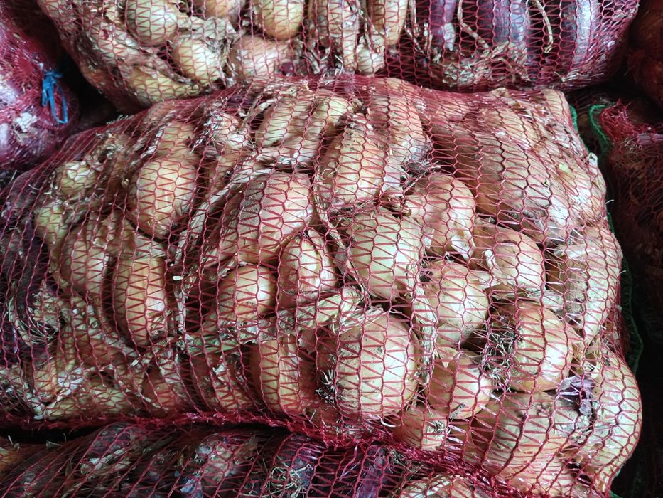 Vând ceapa roșie și alba