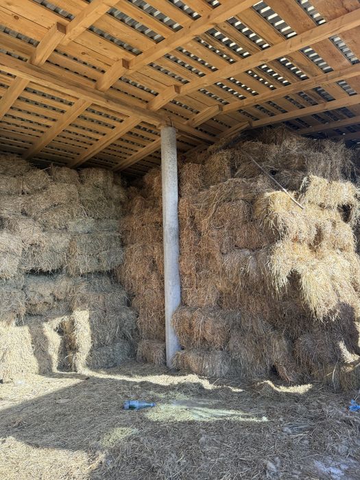 Vand baloti de lucerna