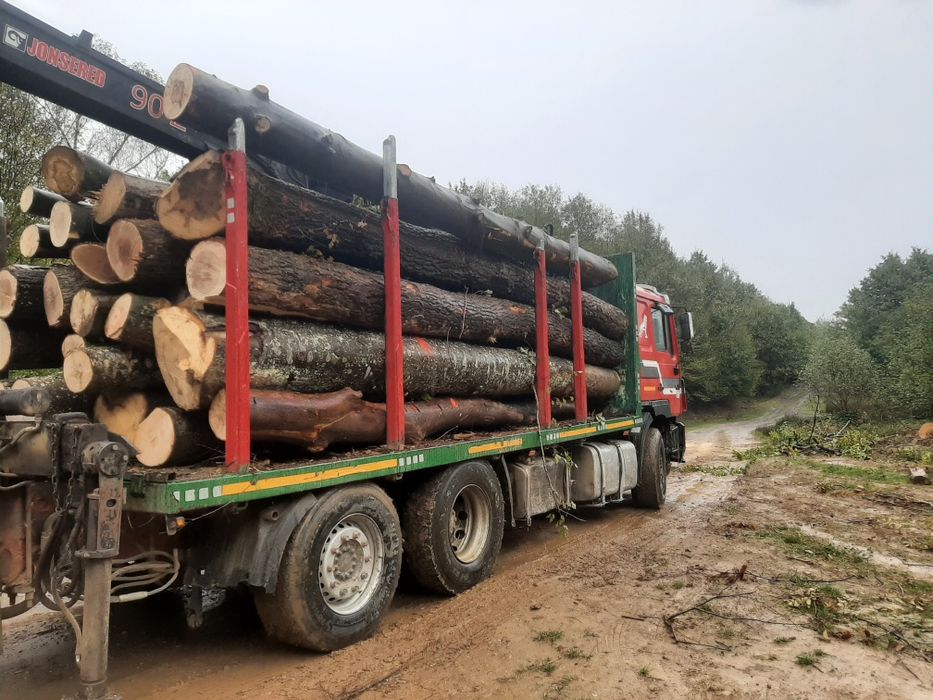 Lemn de foc ,camion sau camioneta