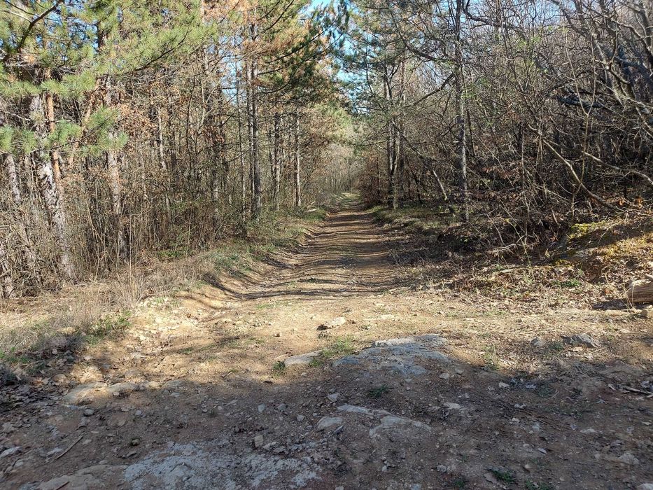 Продава се Парцел в с. Малка Верея, Област Стара Загора - 1333 кв.м за 4 €/кв.м - Снимка #7