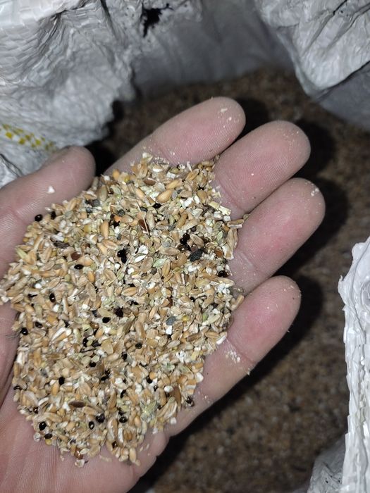 Sechka har xil turdagi sifatli hamyon bob