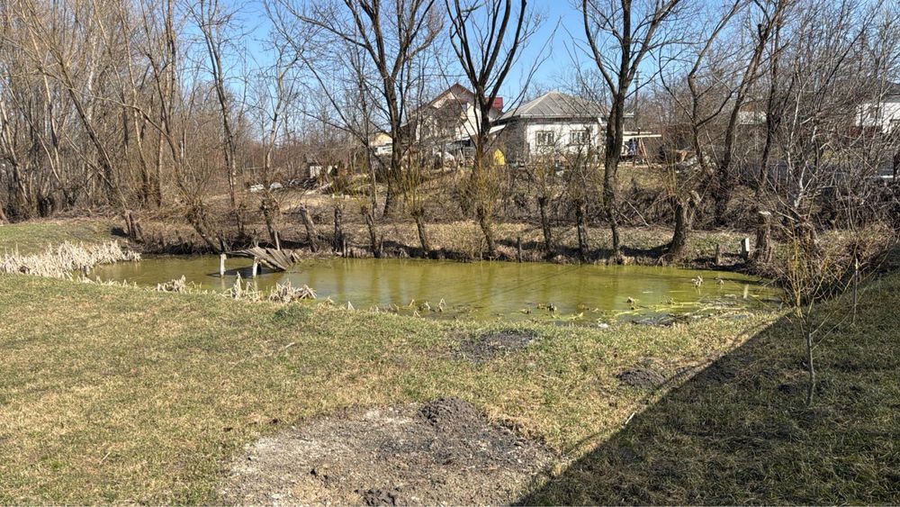 Casa in Brehuiesti, garaj si anexe 1.800mp teren si iaz