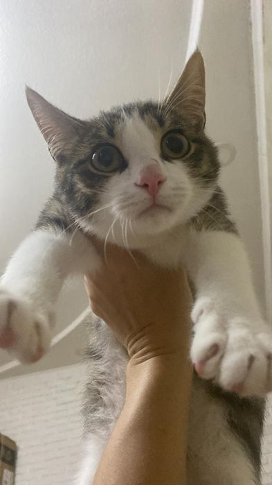 Мальчик в добрые руки