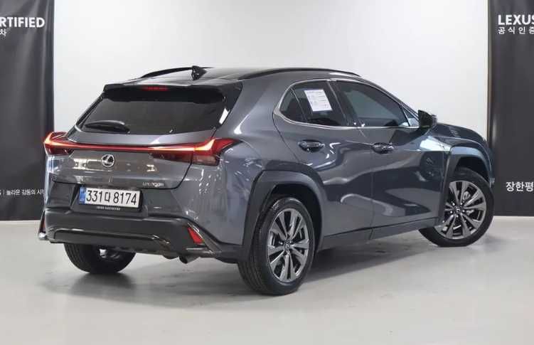 LEXUS UX 300h бензин+гибрид