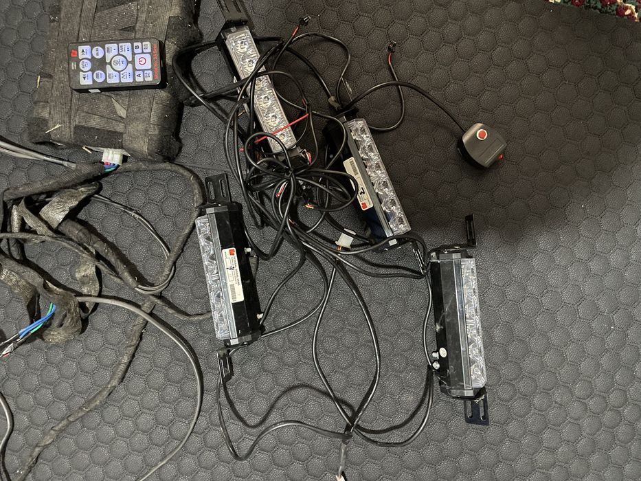 Serena migalka ideal