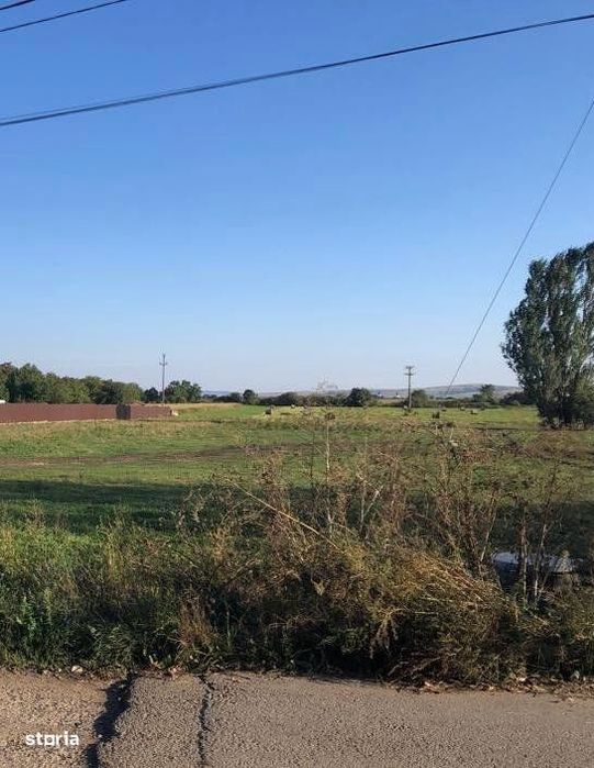 Teren intravilan,  12.200mp, zona Francei. (2 parcele-se vand si sepa