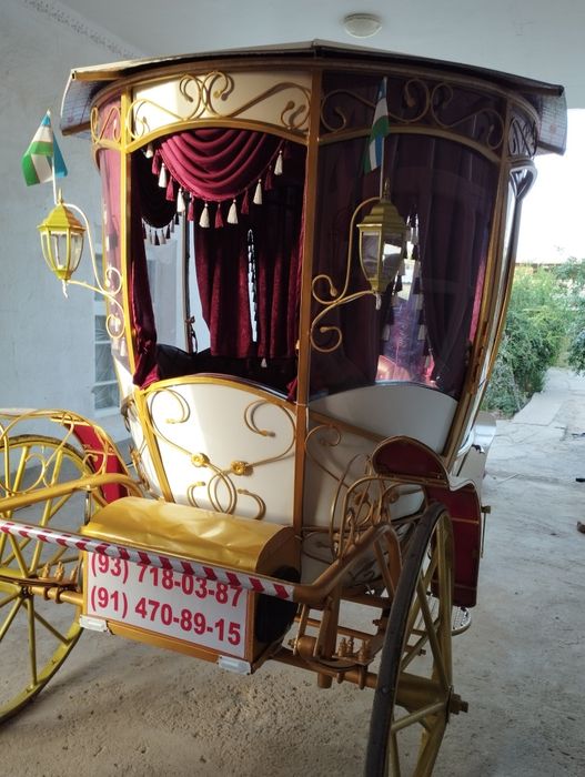 Tuy Marosimlar uchun ot arava