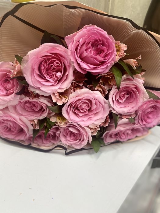 свежий гул солмаған