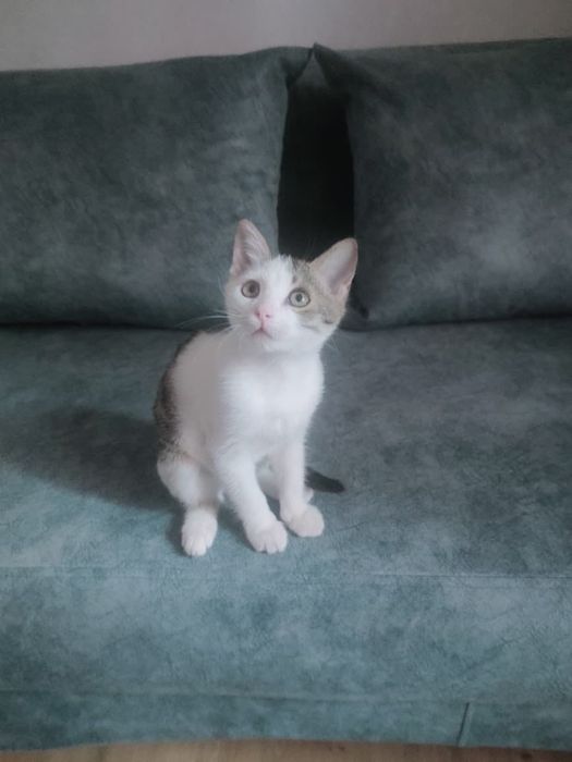 Культурный мальчик