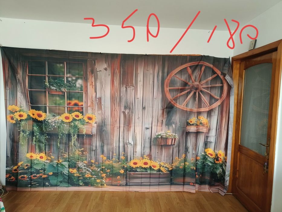 Decoruri ședința foto