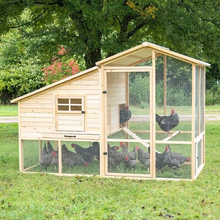 Курятник с выгулом