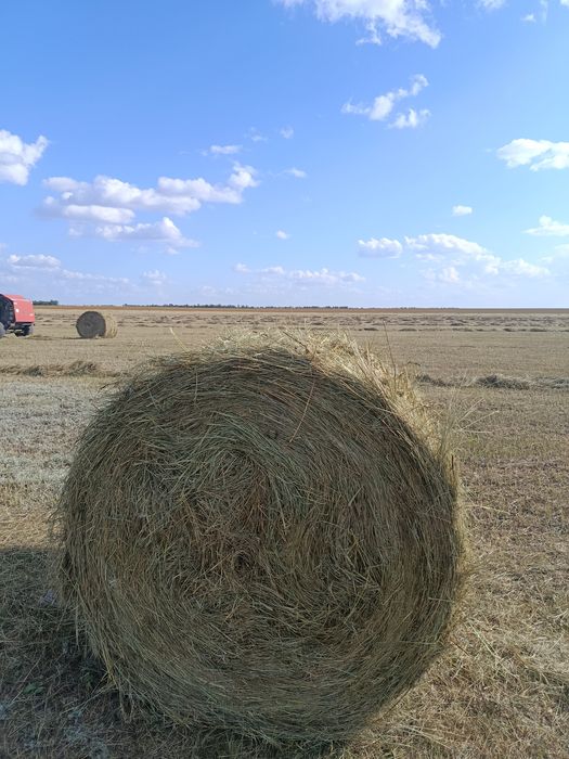 Продам сено рядом с Кокшетау