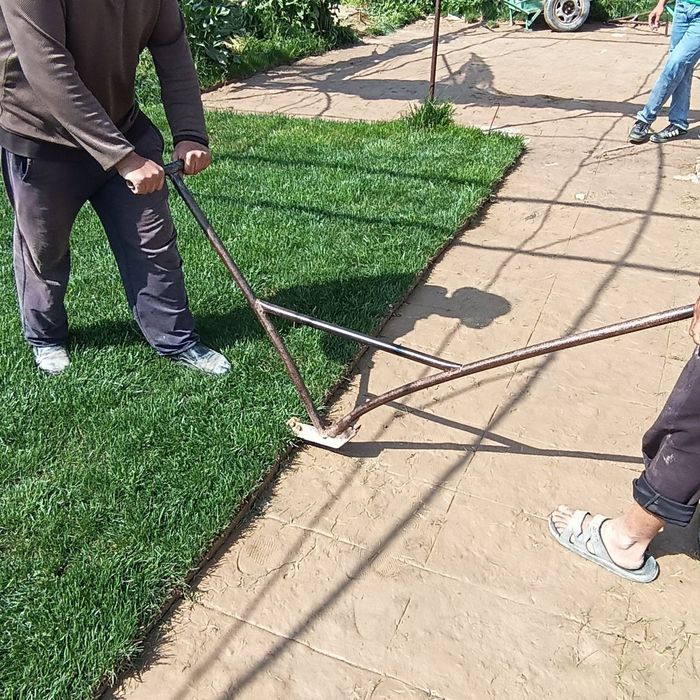 Чим, газон ва полив