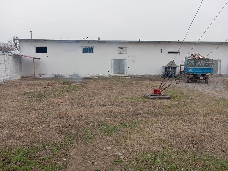 Sotiladi yoki arendaga beriladi(ozizga qoladigan) . Zangata m39 da