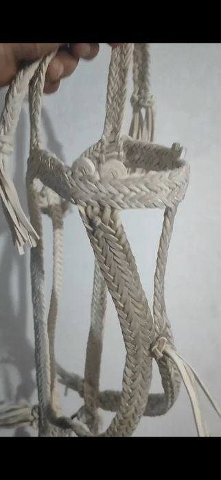 Қайыс жүген, қамшы (уздечка)