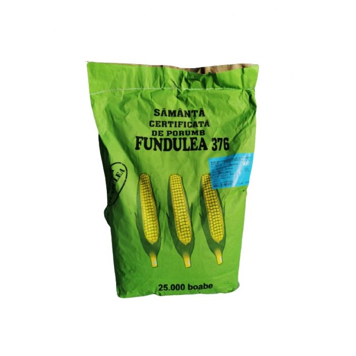 Samanta Porumb FUNDULEA 376, FAO 450