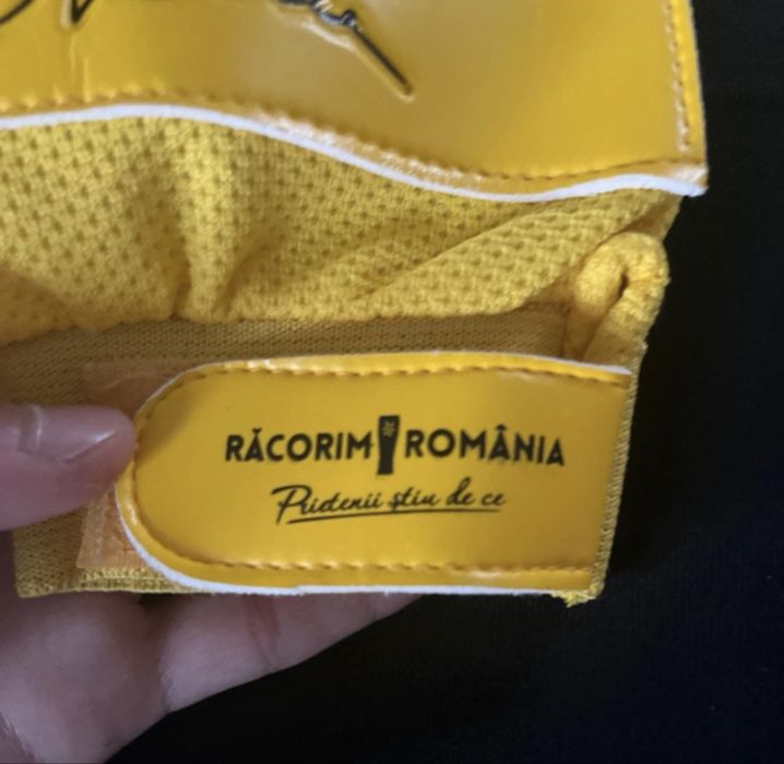Manusi semnate de Bogdan Stelea