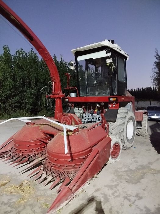 Полесье канбайин 2010