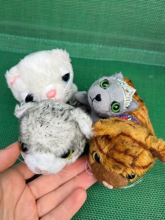 Коллекционные  собачки, кошки, мишки Тедди