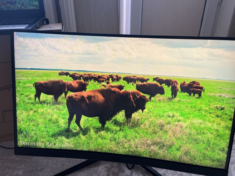 Монитор MSI G24 144 Hz