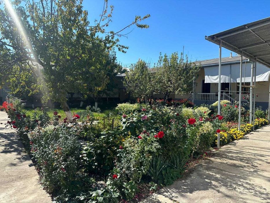 Тошкент тумвни кук терак