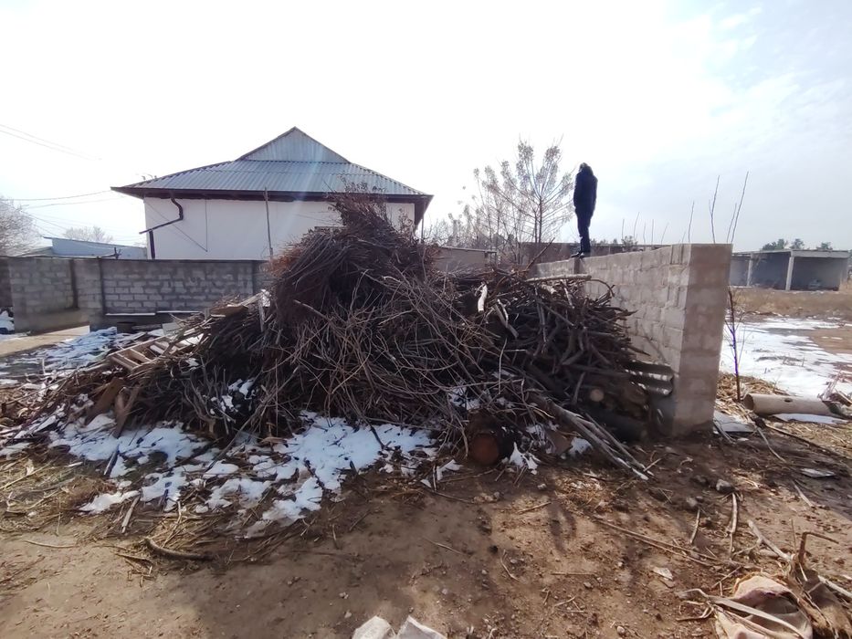 O'tin sotiladi kunda shappa