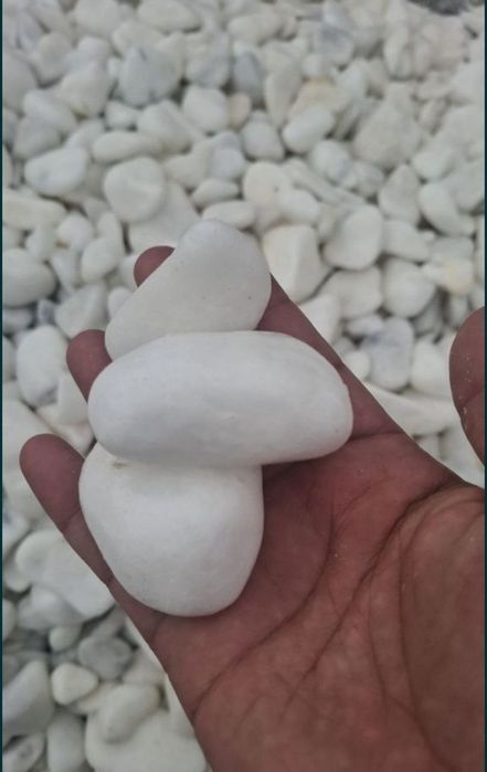 Galka Tosh Optom/ Dekorativ Tosh Optom