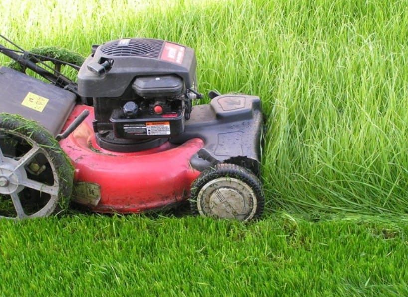 Стрижка  газонов , травы