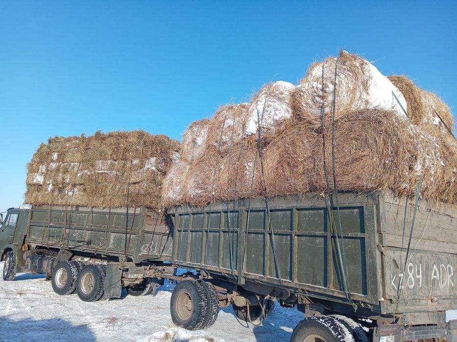 Продам сено в рулонах с доставкой!