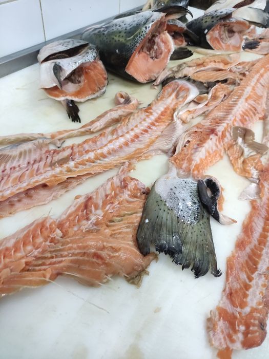 Сёмга обрезки вырезки голова