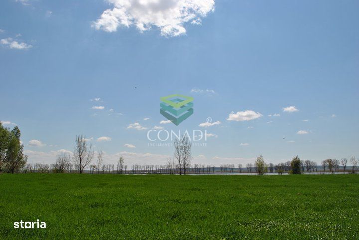 Oportunitate investitionala | Ferma piscicola 233 ha | Calarasi