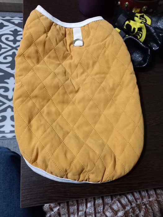 Продам жилет для собак