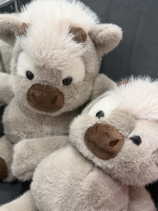 Бегущий телёнок