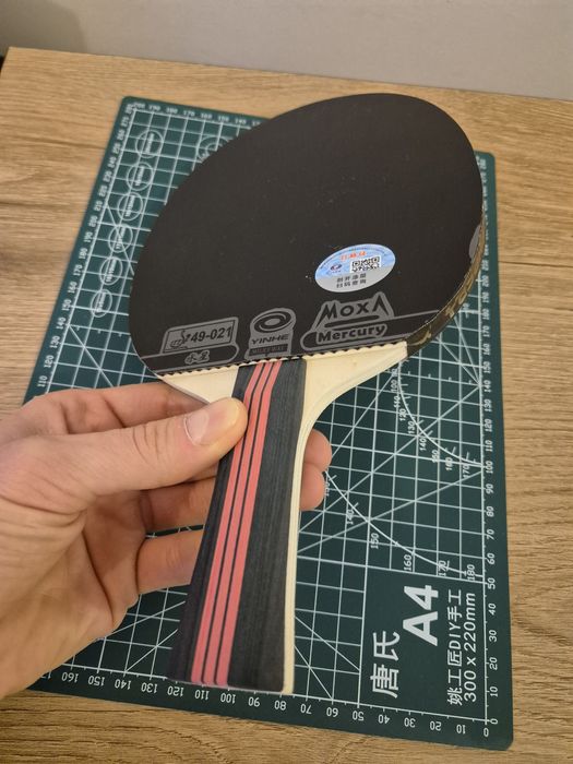 Paletă ping pong de apărare | perturbare joc