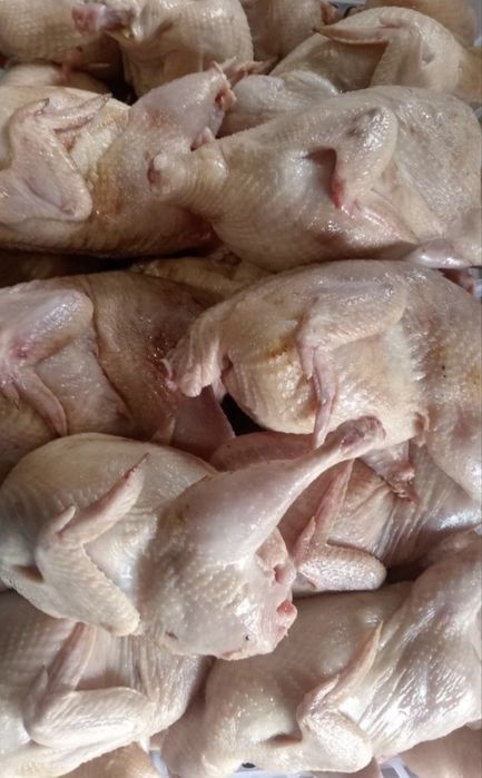 Перепелиное мясо и яйца