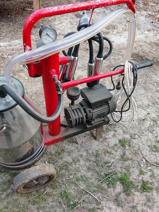 Vînd motocultor 14 cp preț.1300 euro și mulgătoare vaci 1600 lei